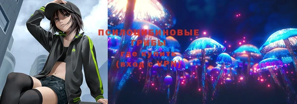 мдпв Слюдянка