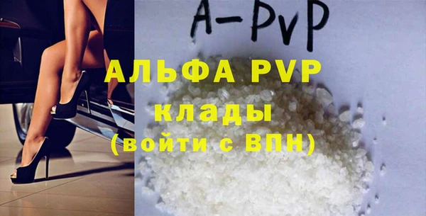 гидра Абаза