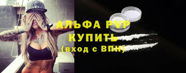 гидра Абаза