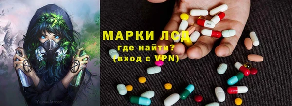 гидра Абаза