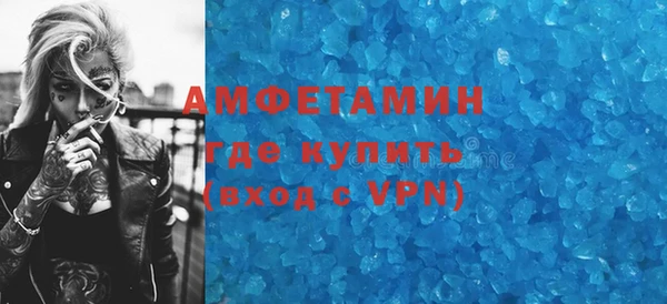 гидра Абаза