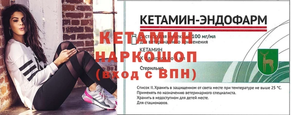 гидра Абаза