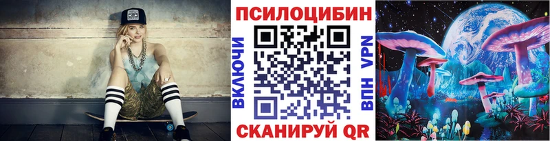 Псилоцибиновые грибы Psilocybe  цена   OMG ССЫЛКА  Касли 